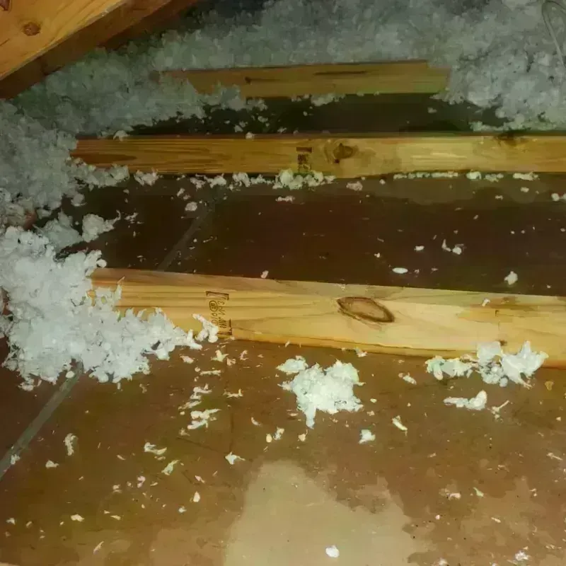 Attic Water Damage in Memphis, TX