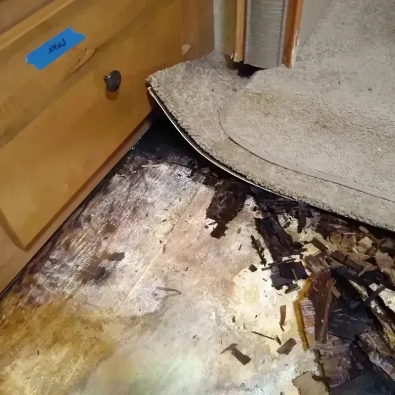 Wood Floor Water Damage in Memphis, TX